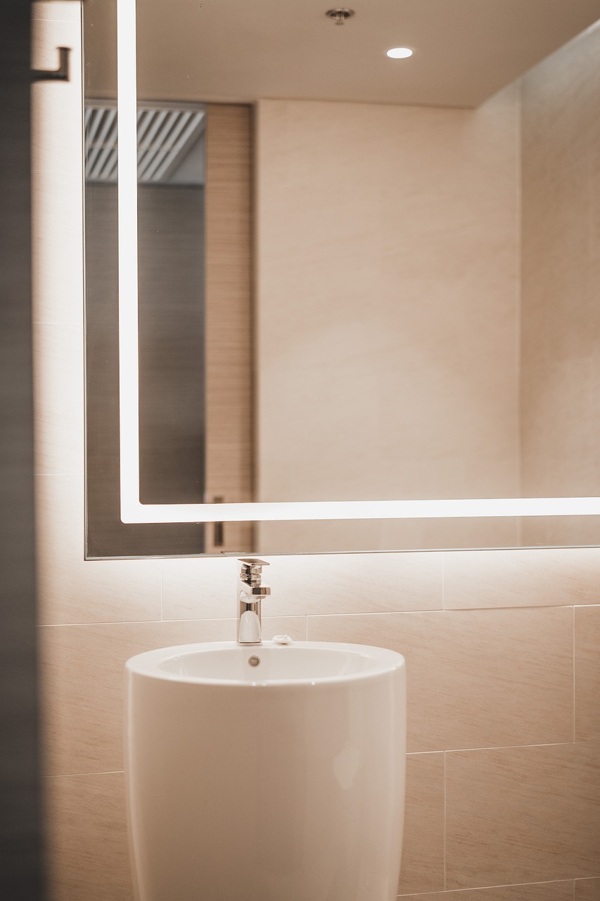 glass, mirror, toilet